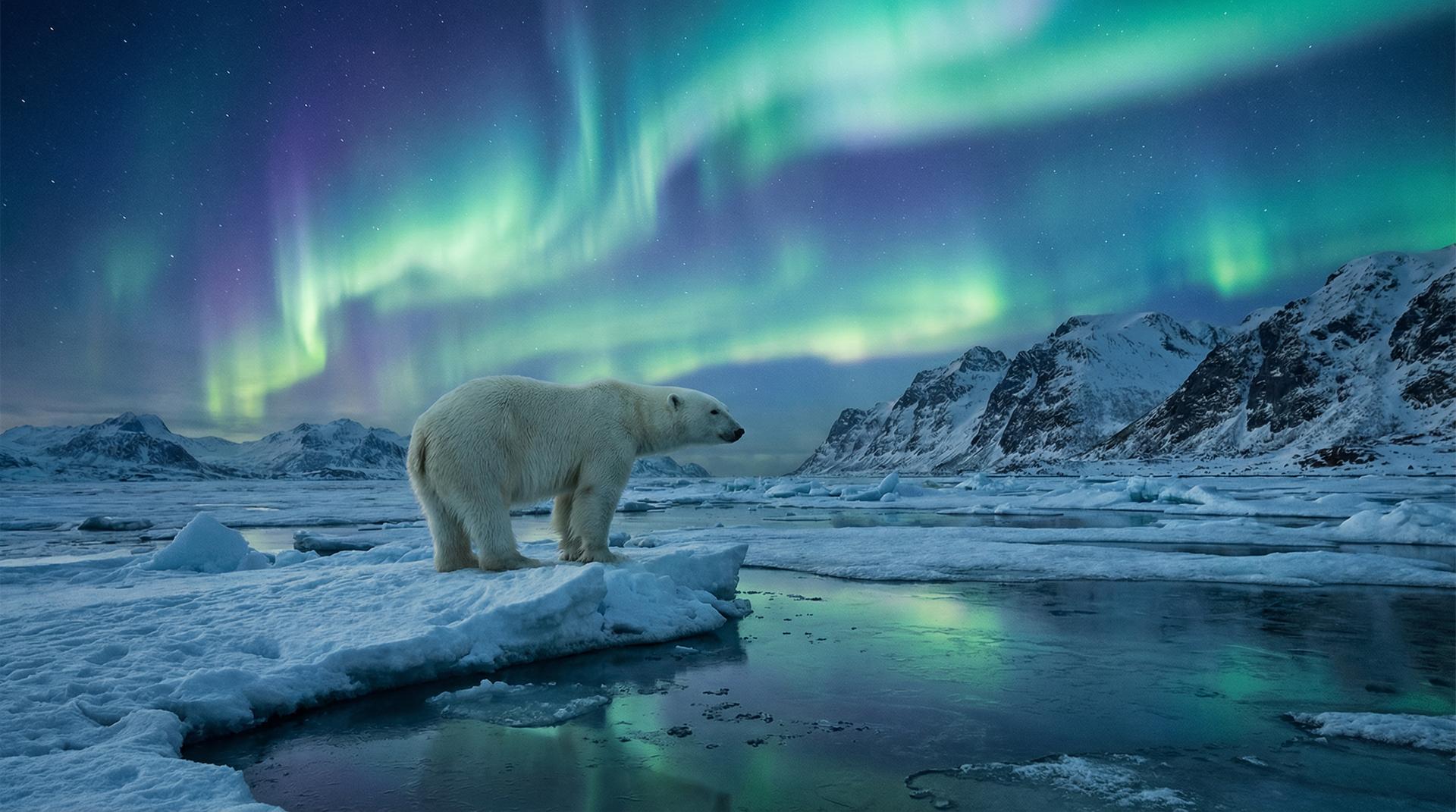 麻豆杰尼龟视频